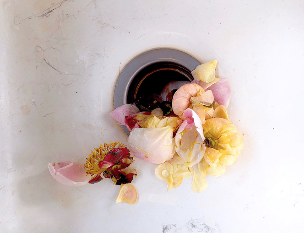 5 Steps You Must Take When There’s Standing Water in The Dishwasher Master Plumbing