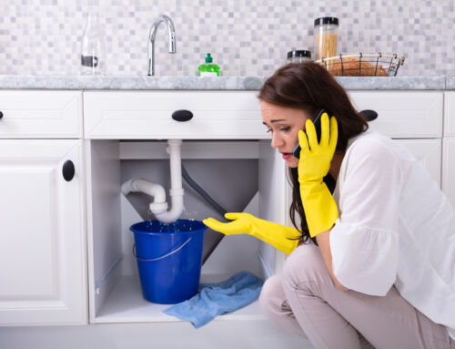 7 Signs You Need Emergency Plumbing Services in Boise, Idaho