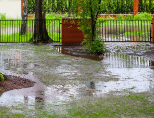 Addressing Poor Outdoor Drainage Issues in Spring