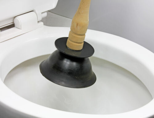 How to Plunge a Toilet Like a Pro